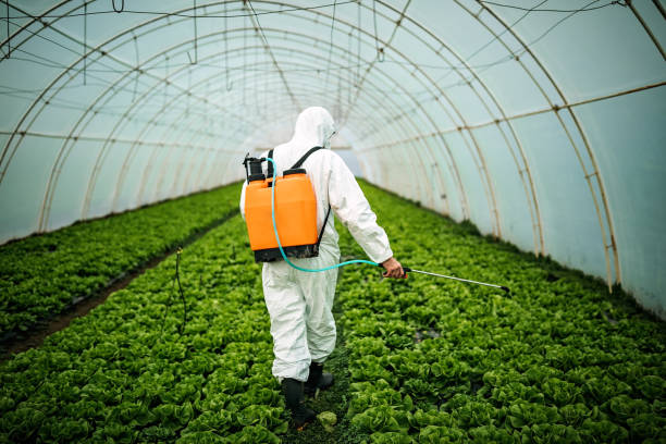 Best Pest Removal Services  in Grandview Plaza, KS