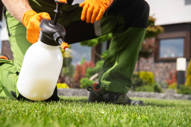 Best Pest Control Near Me  in Grandview Plaza, KS