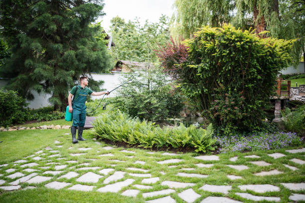 Best Best Pest Control Companies  in Grandview Plaza, KS