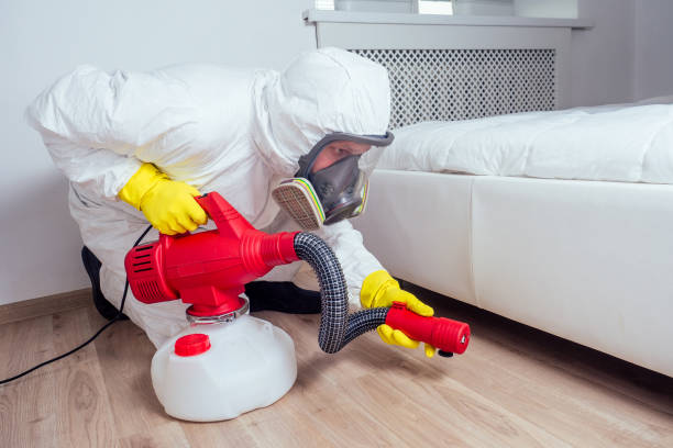 Best Wasp Removal Services  in Grandview Plaza, KS