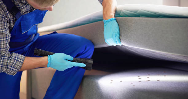 Best Residential Pest Control  in Grandview Plaza, KS