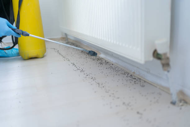 Best Bed Bug Extermination  in Grandview Plaza, KS