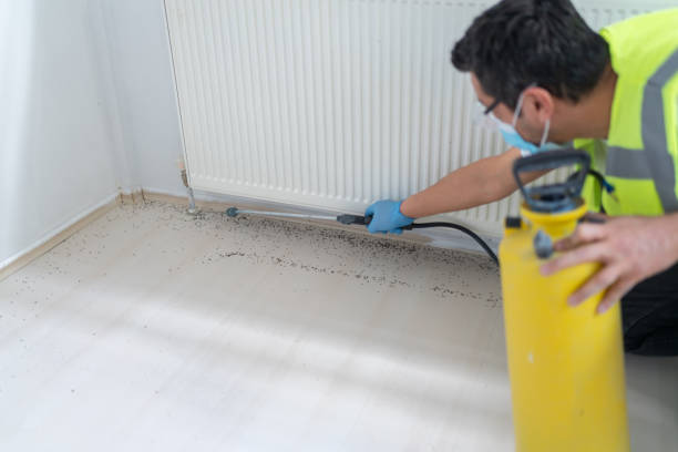 Best Termite Control Services  in Grandview Plaza, KS