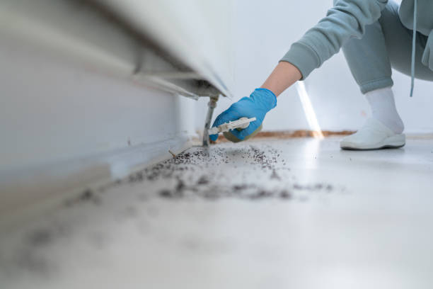 Best Wildlife Control Services  in Grandview Plaza, KS