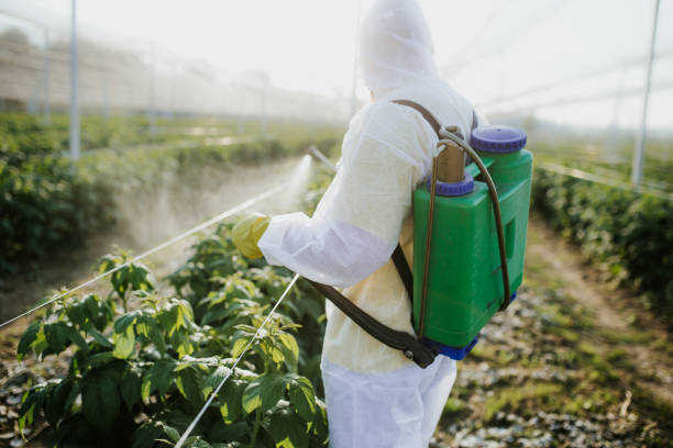 Best Mosquito Control Services  in Grandview Plaza, KS